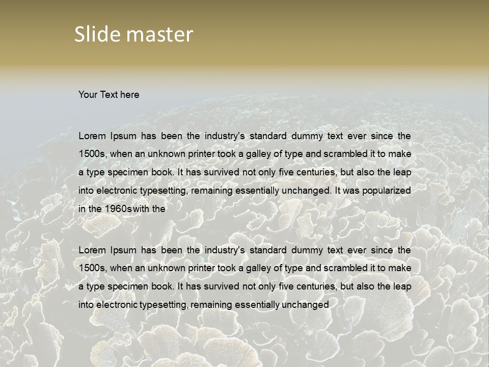 Raja Ampat Environment Habitat PowerPoint Template