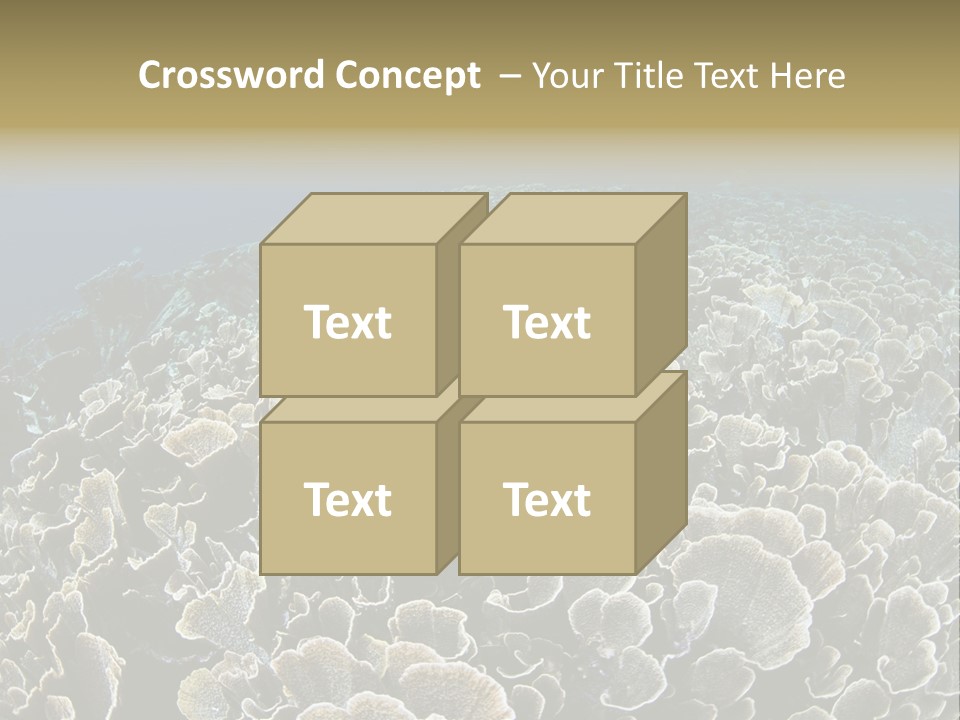 Raja Ampat Environment Habitat PowerPoint Template