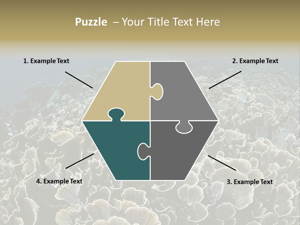Raja Ampat Environment Habitat PowerPoint Template