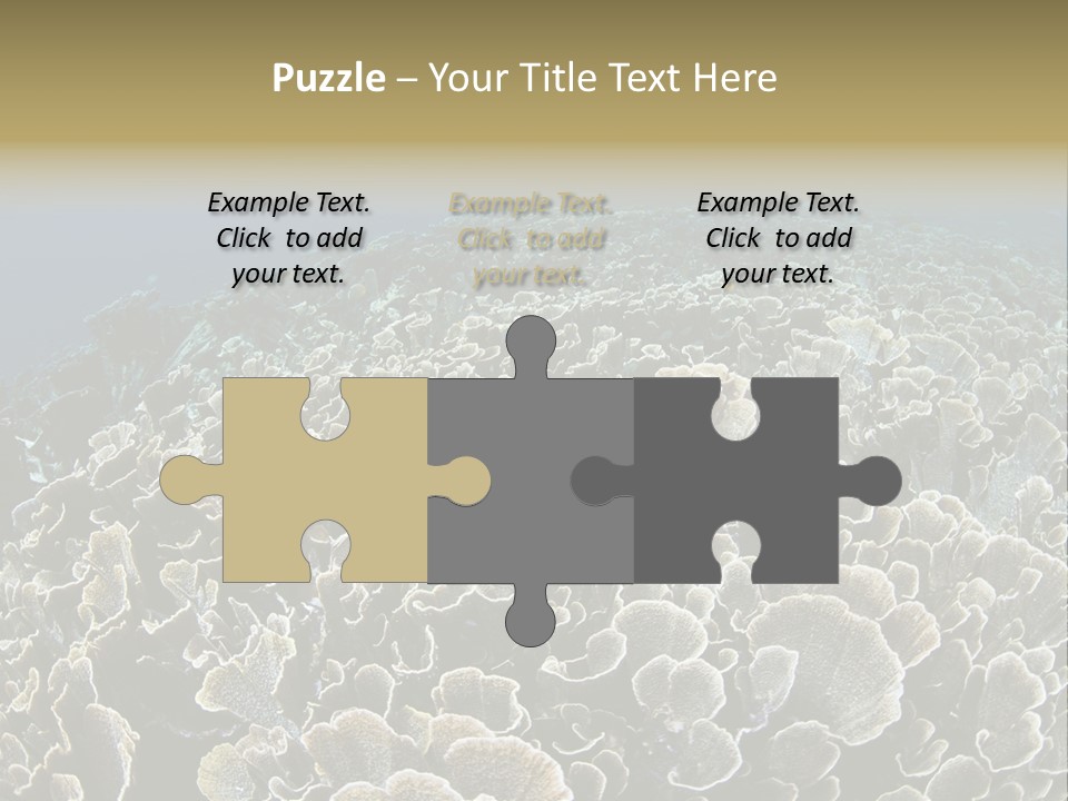 Raja Ampat Environment Habitat PowerPoint Template