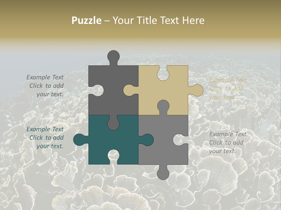 Raja Ampat Environment Habitat PowerPoint Template