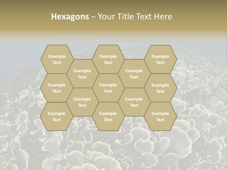 Raja Ampat Environment Habitat PowerPoint Template