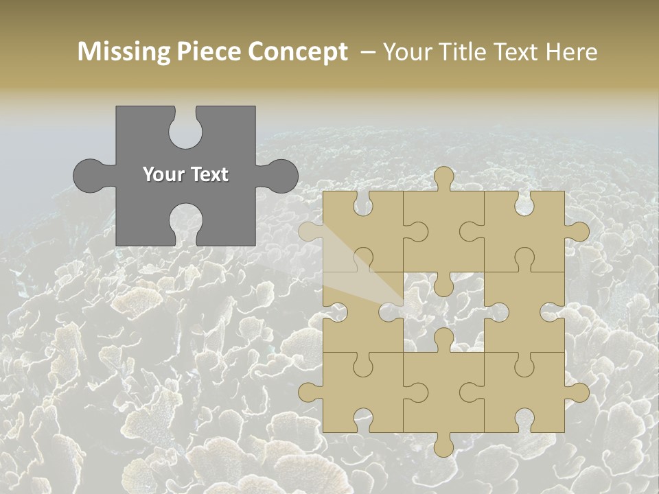 Raja Ampat Environment Habitat PowerPoint Template