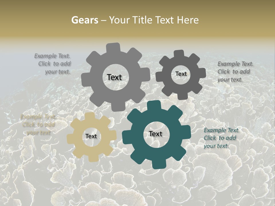 Raja Ampat Environment Habitat PowerPoint Template