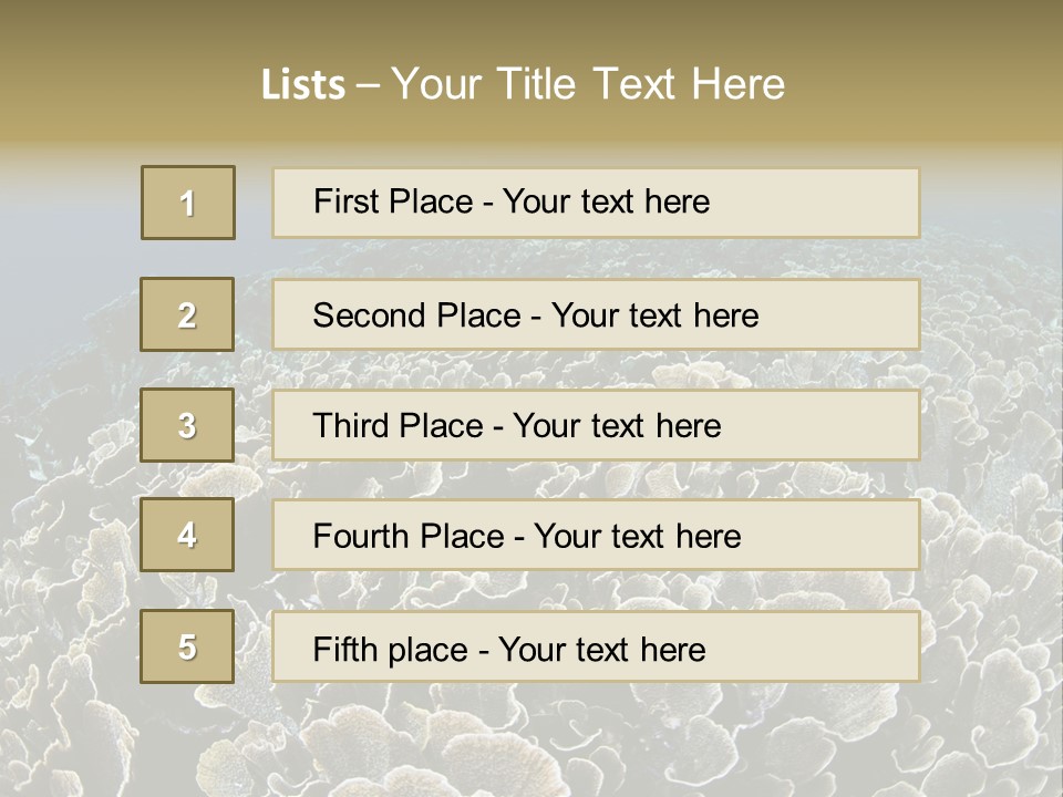 Raja Ampat Environment Habitat PowerPoint Template