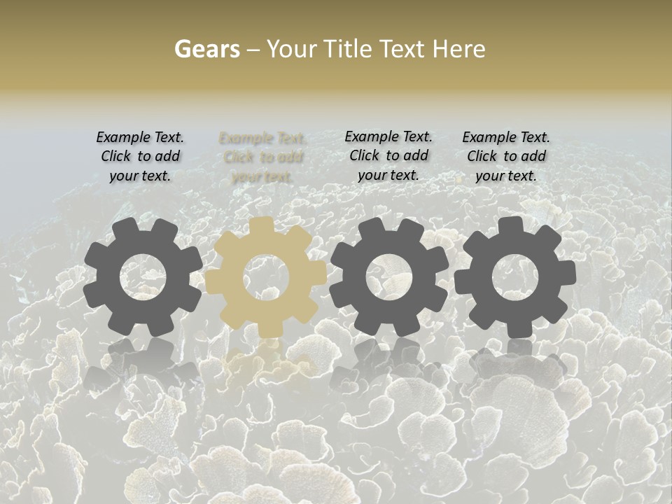 Raja Ampat Environment Habitat PowerPoint Template