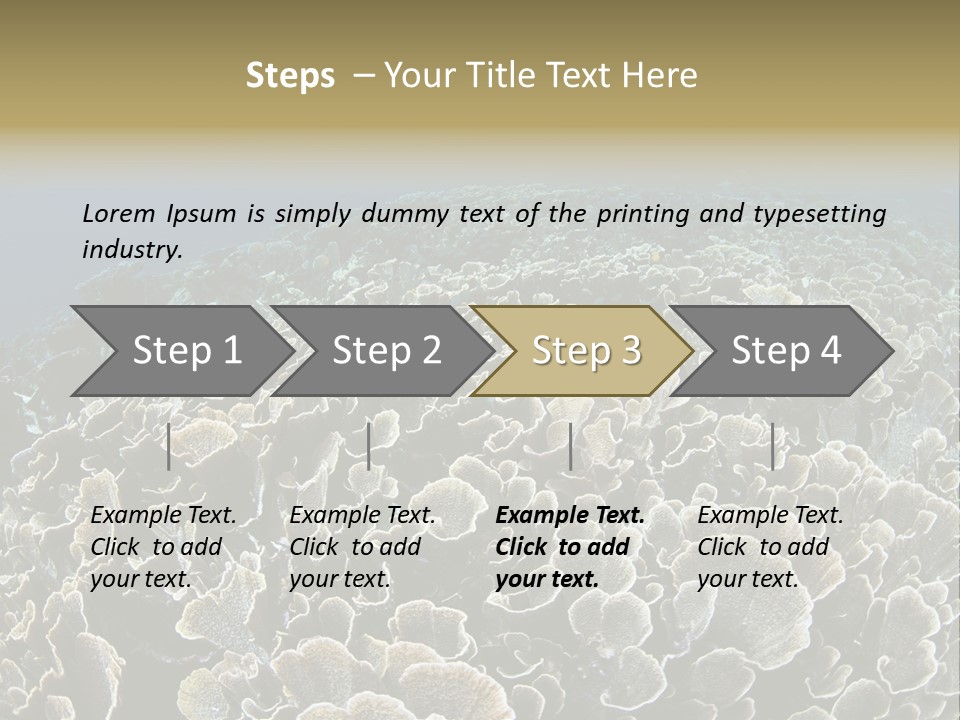 Raja Ampat Environment Habitat PowerPoint Template