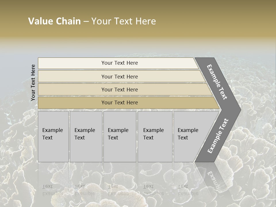 Raja Ampat Environment Habitat PowerPoint Template