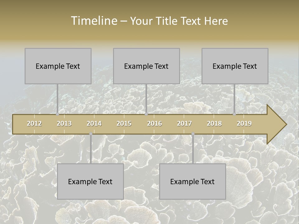 Raja Ampat Environment Habitat PowerPoint Template