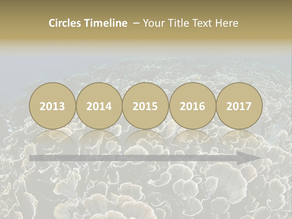 Raja Ampat Environment Habitat PowerPoint Template