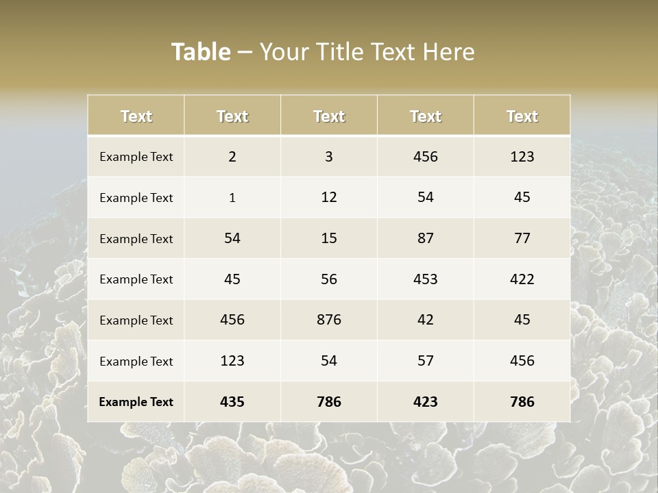 Raja Ampat Environment Habitat PowerPoint Template