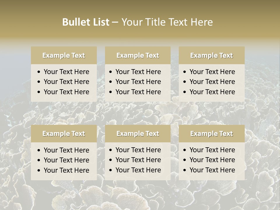 Raja Ampat Environment Habitat PowerPoint Template