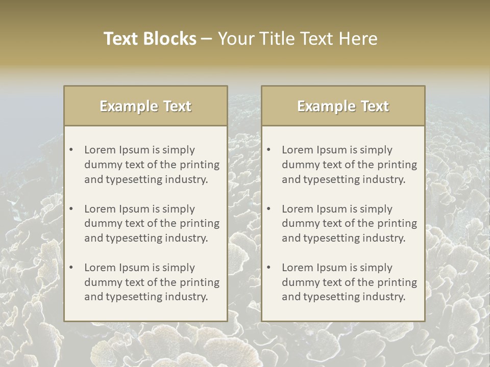 Raja Ampat Environment Habitat PowerPoint Template
