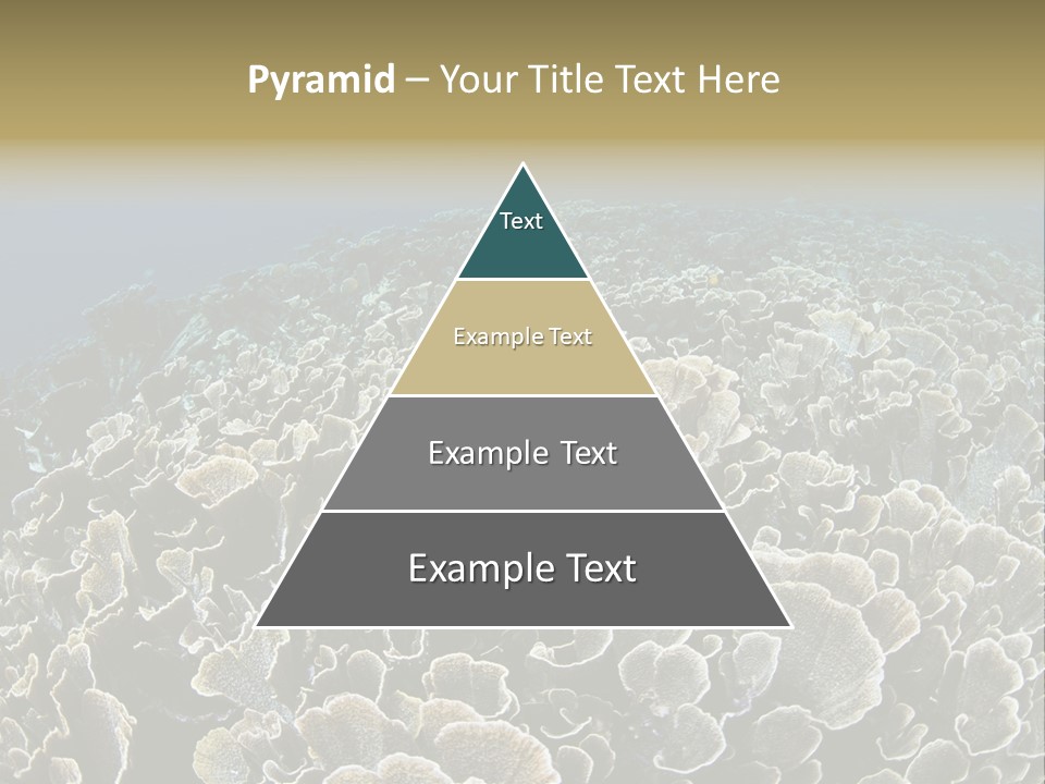 Raja Ampat Environment Habitat PowerPoint Template