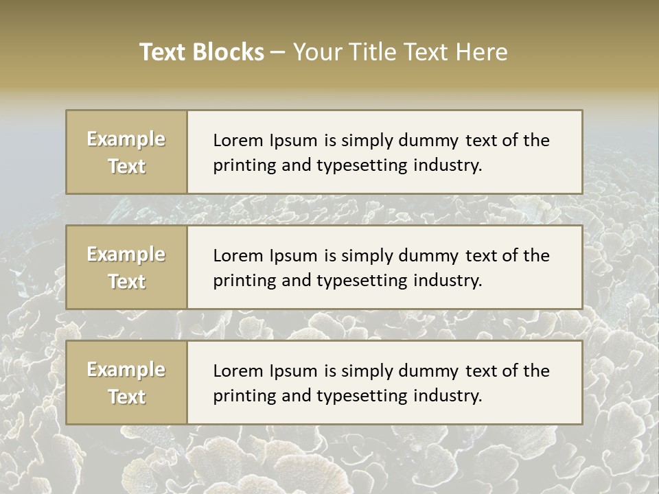 Raja Ampat Environment Habitat PowerPoint Template