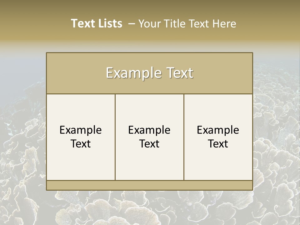 Raja Ampat Environment Habitat PowerPoint Template