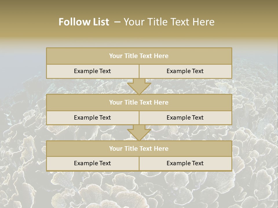 Raja Ampat Environment Habitat PowerPoint Template