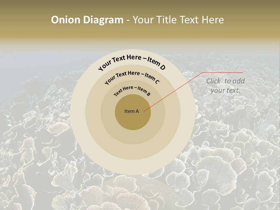 Raja Ampat Environment Habitat PowerPoint Template
