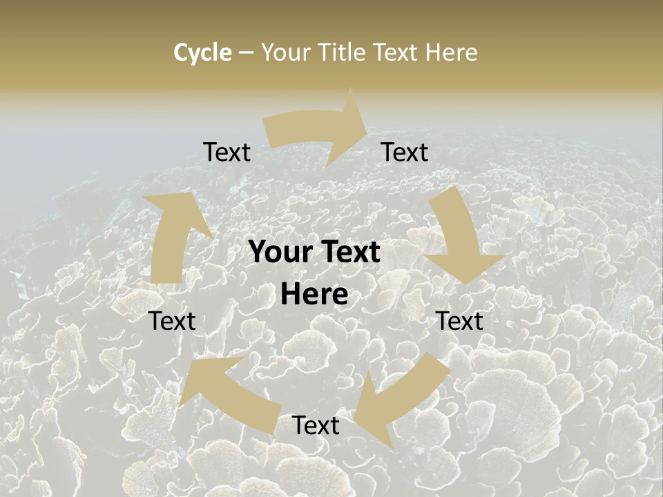 Raja Ampat Environment Habitat PowerPoint Template
