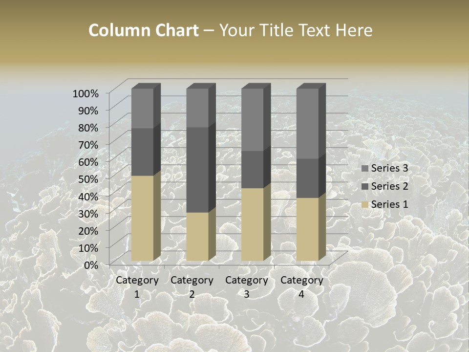 Raja Ampat Environment Habitat PowerPoint Template