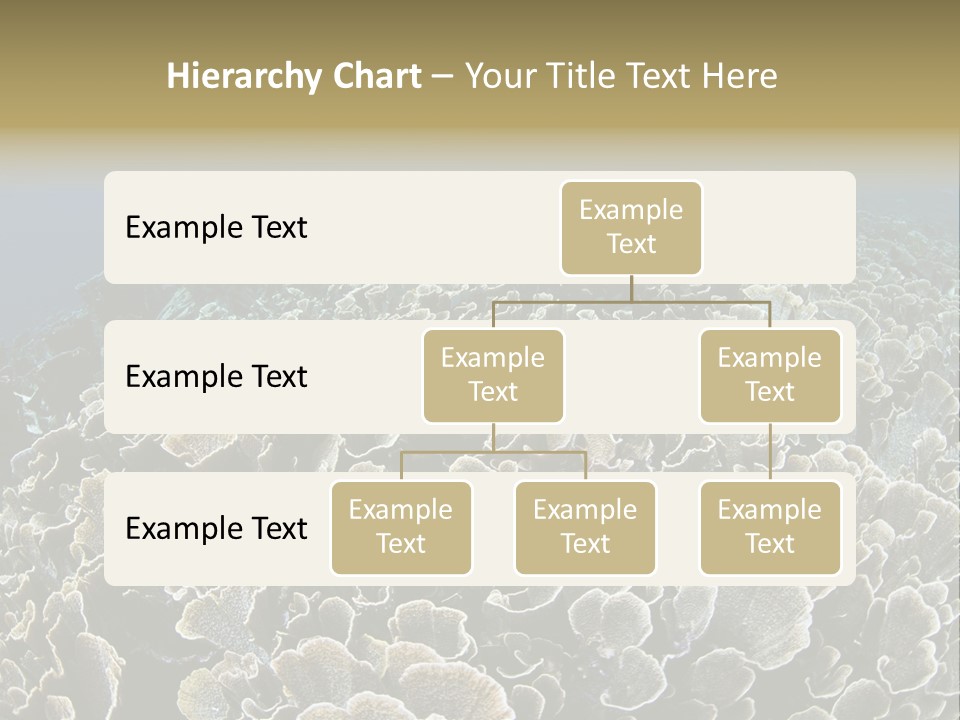 Raja Ampat Environment Habitat PowerPoint Template