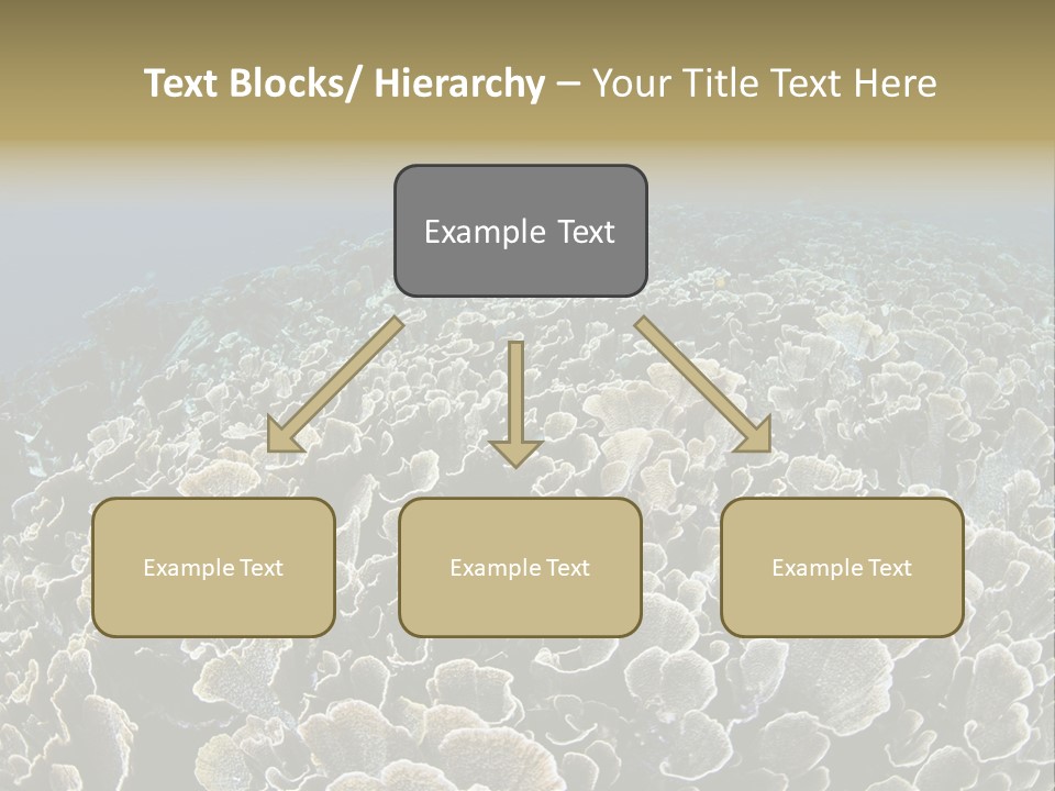 Raja Ampat Environment Habitat PowerPoint Template