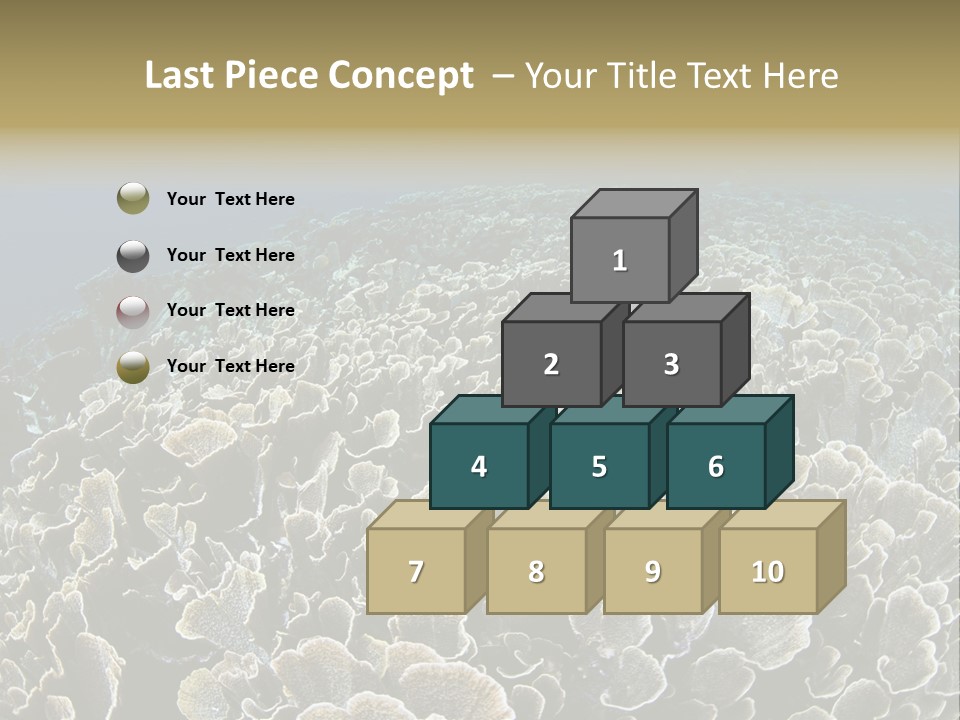 Raja Ampat Environment Habitat PowerPoint Template