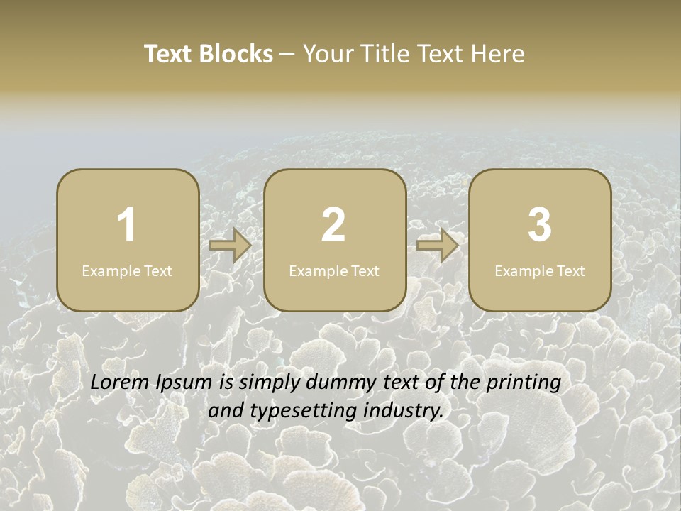 Raja Ampat Environment Habitat PowerPoint Template