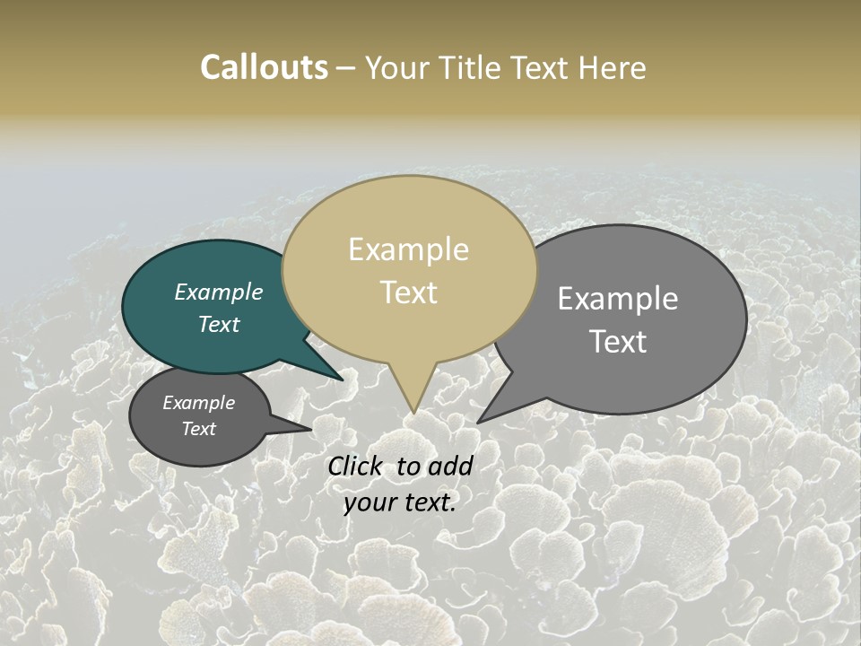 Raja Ampat Environment Habitat PowerPoint Template