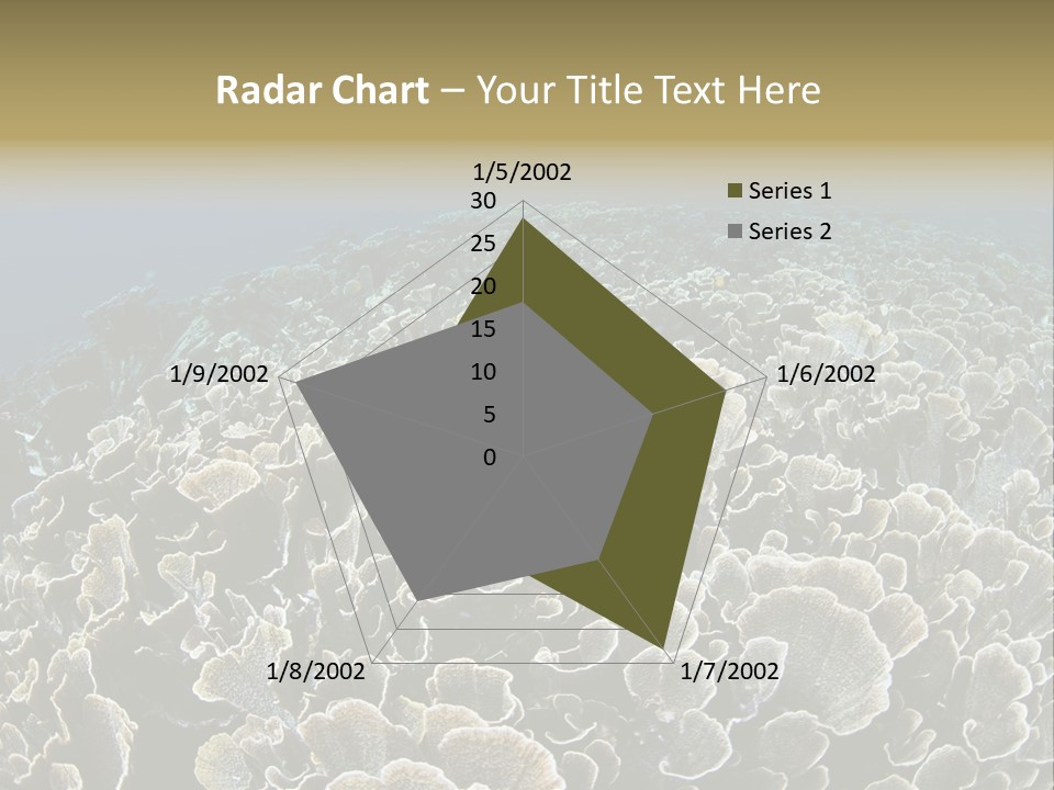 Raja Ampat Environment Habitat PowerPoint Template