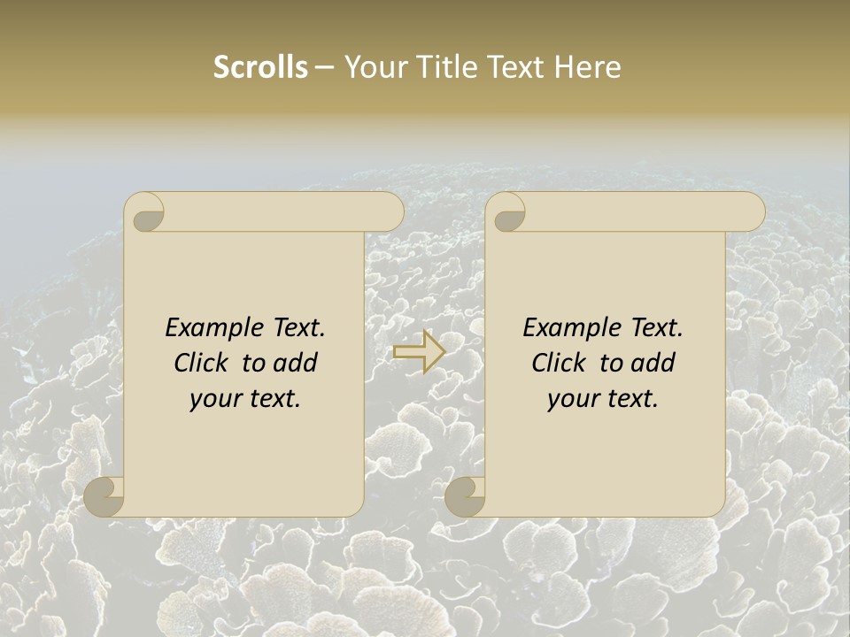 Raja Ampat Environment Habitat PowerPoint Template
