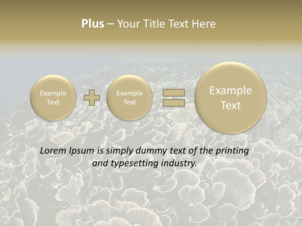 Raja Ampat Environment Habitat PowerPoint Template