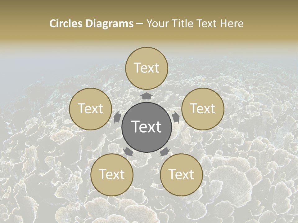 Raja Ampat Environment Habitat PowerPoint Template