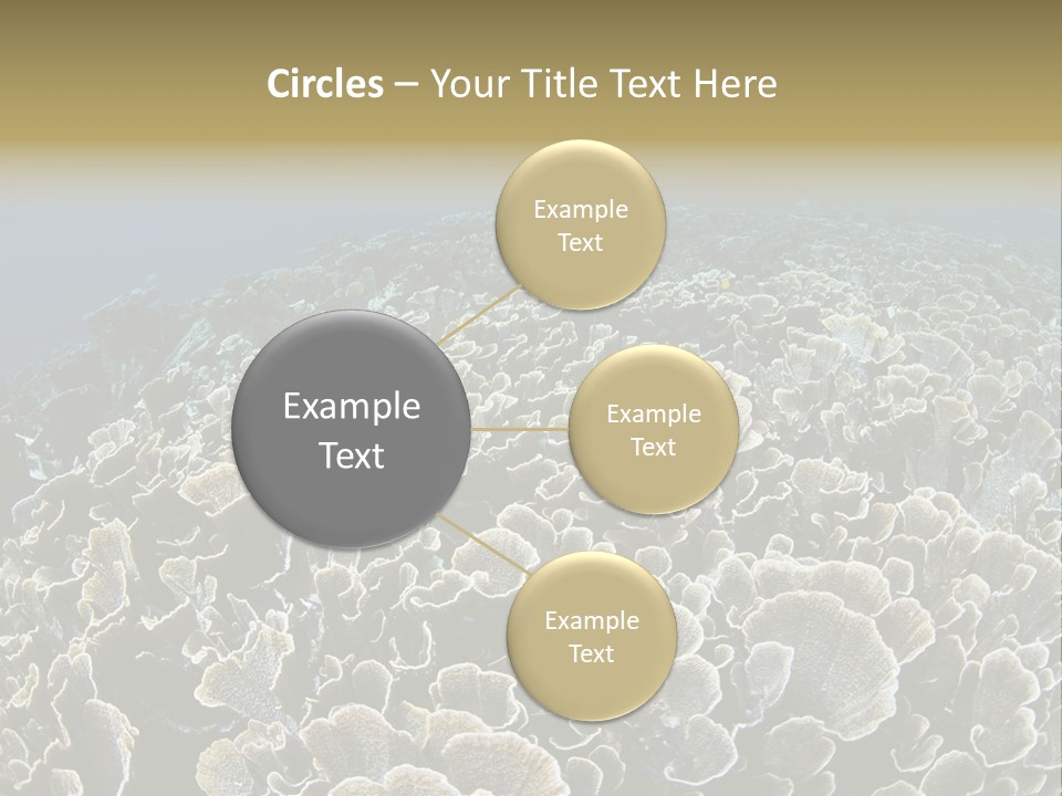 Raja Ampat Environment Habitat PowerPoint Template