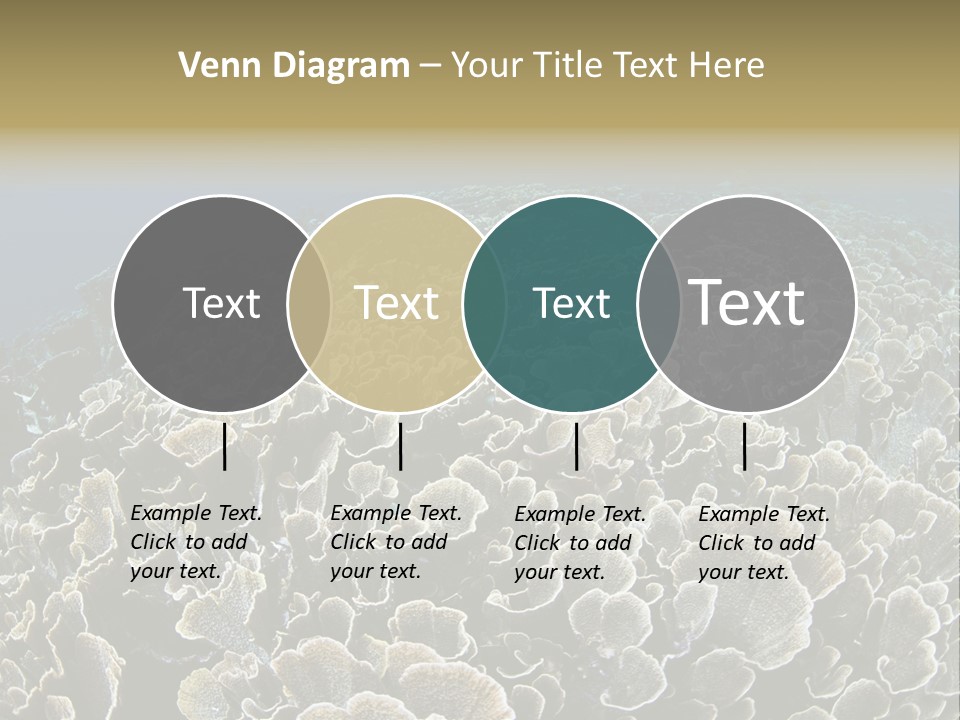 Raja Ampat Environment Habitat PowerPoint Template