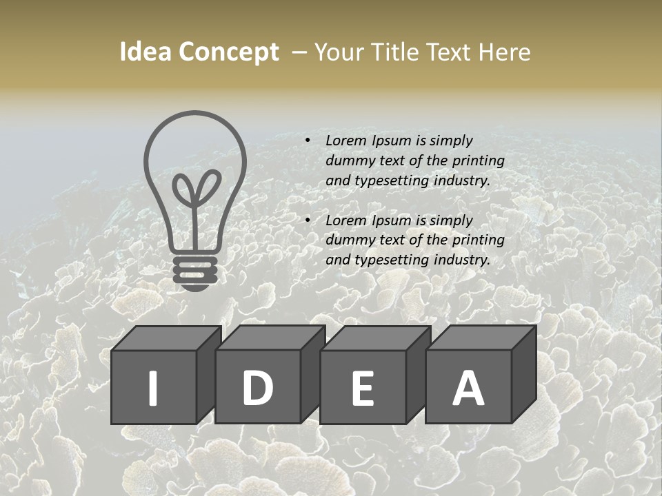 Raja Ampat Environment Habitat PowerPoint Template