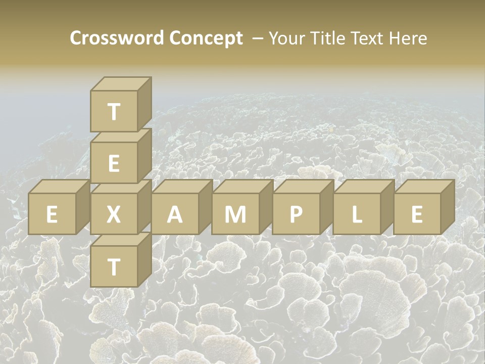 Raja Ampat Environment Habitat PowerPoint Template