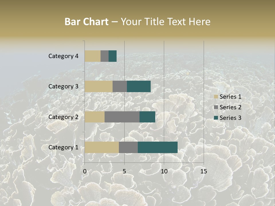 Raja Ampat Environment Habitat PowerPoint Template