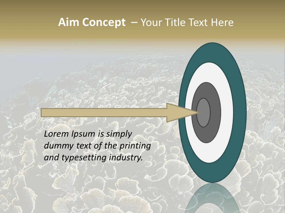 Raja Ampat Environment Habitat PowerPoint Template