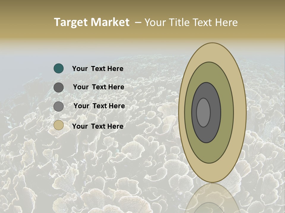 Raja Ampat Environment Habitat PowerPoint Template