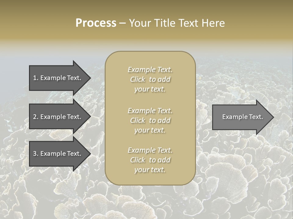 Raja Ampat Environment Habitat PowerPoint Template