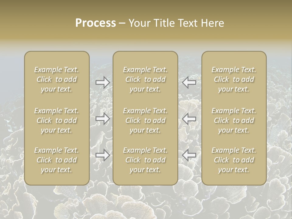 Raja Ampat Environment Habitat PowerPoint Template