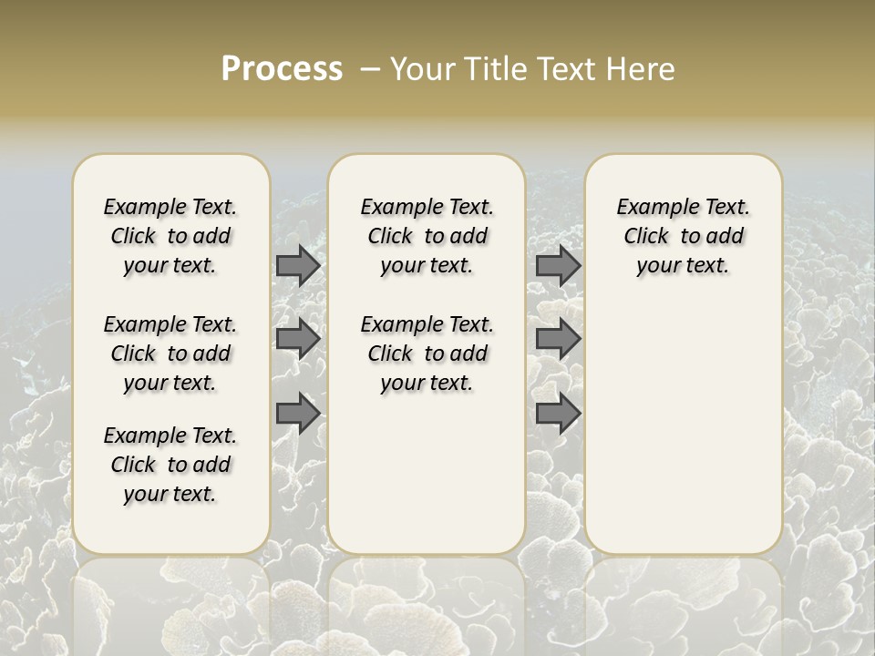 Raja Ampat Environment Habitat PowerPoint Template