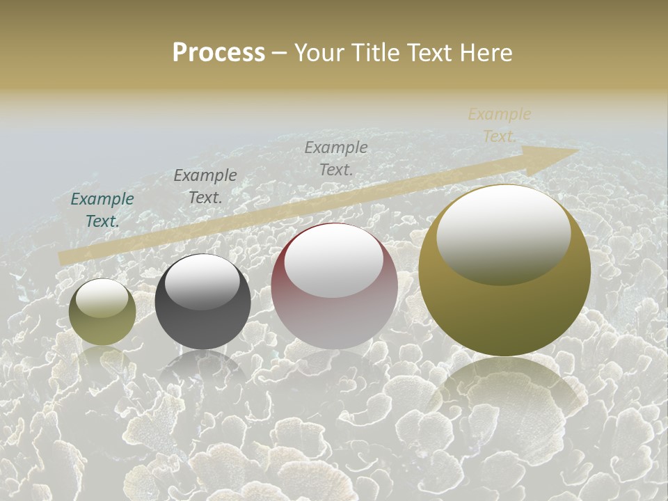 Raja Ampat Environment Habitat PowerPoint Template