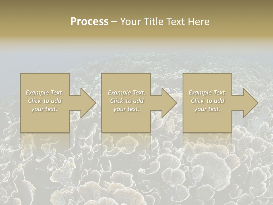 Raja Ampat Environment Habitat PowerPoint Template