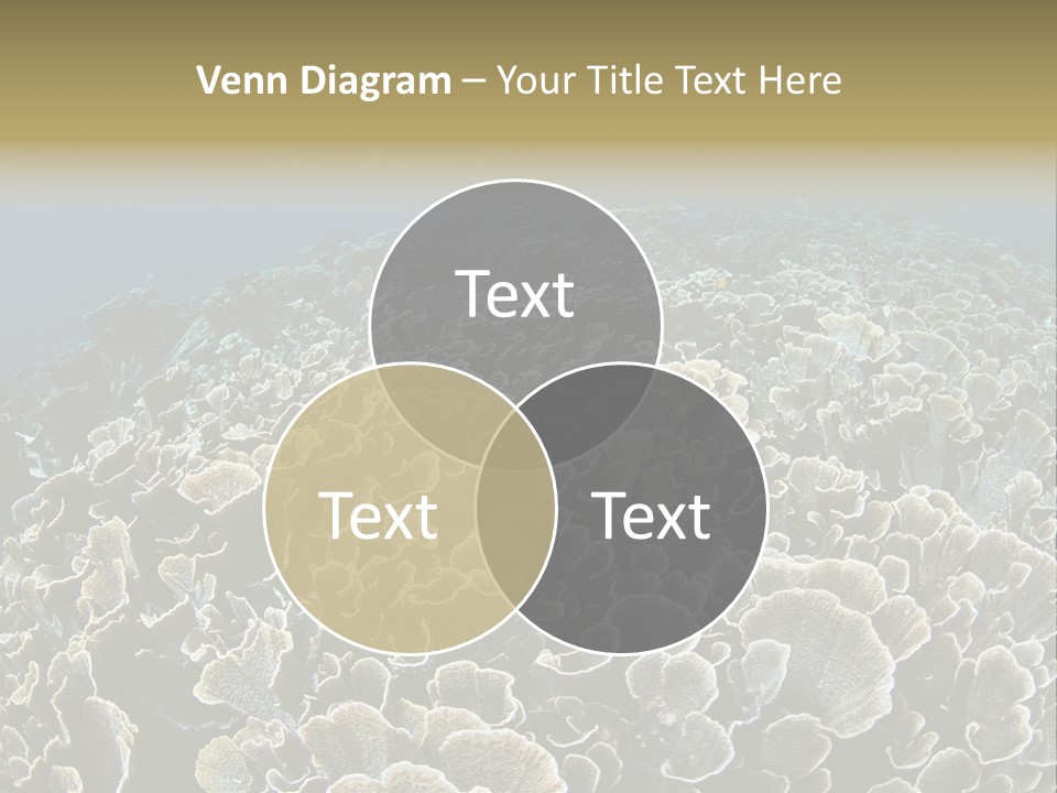 Raja Ampat Environment Habitat PowerPoint Template