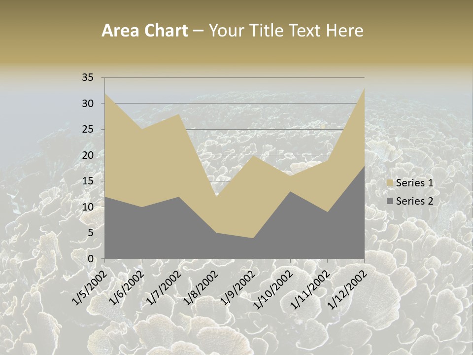 Raja Ampat Environment Habitat PowerPoint Template