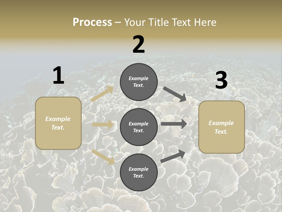 Raja Ampat Environment Habitat PowerPoint Template