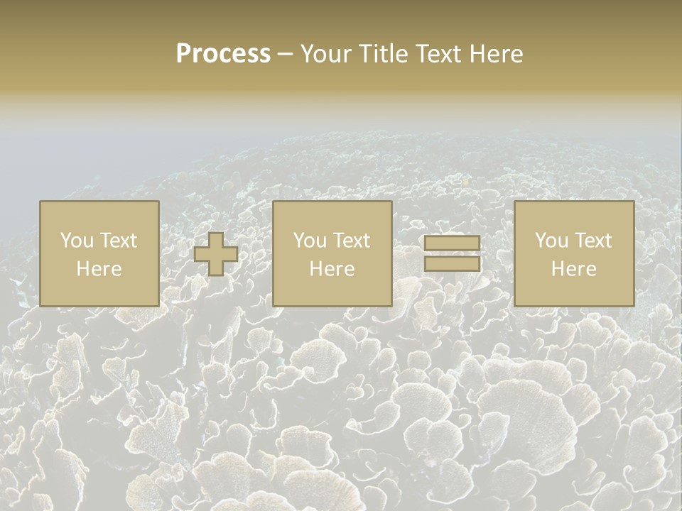 Raja Ampat Environment Habitat PowerPoint Template