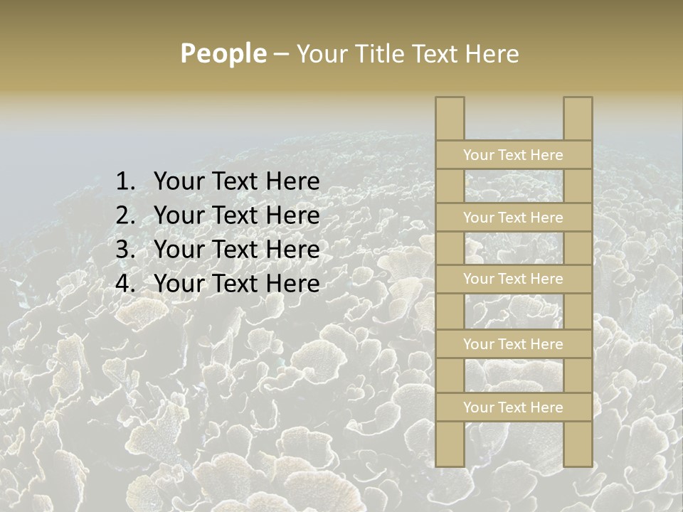 Raja Ampat Environment Habitat PowerPoint Template